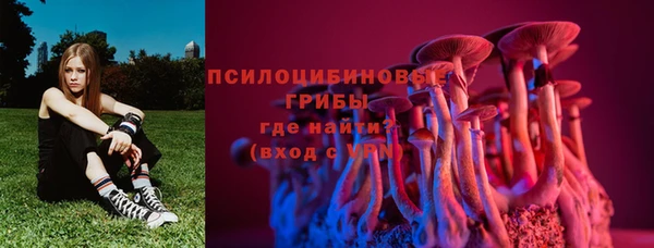 мдма Корсаков