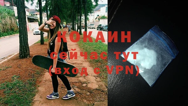 дурь Краснослободск