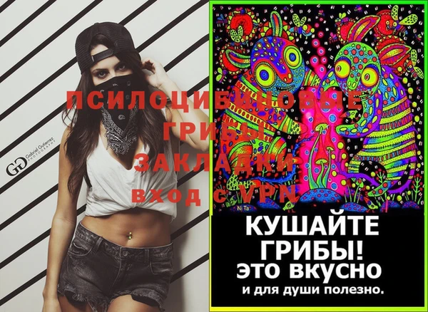 твердый Куйбышев
