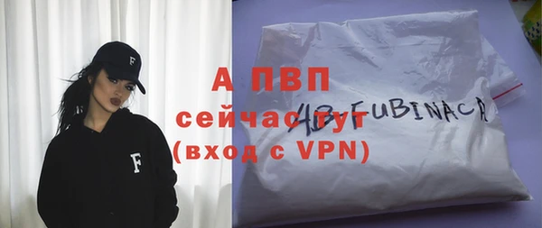 дживик Козельск